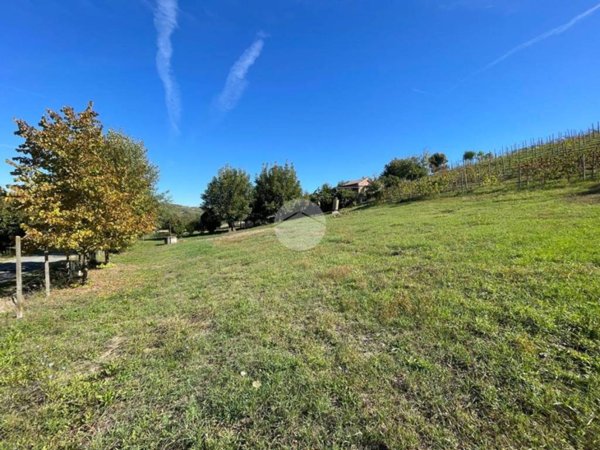 terreno agricolo in vendita a Nizza Monferrato