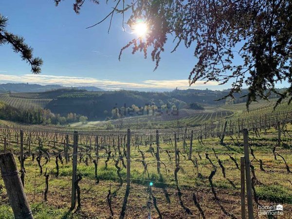 casa indipendente in vendita a Nizza Monferrato