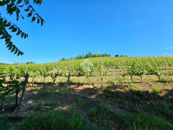 terreno agricolo in vendita a Nizza Monferrato