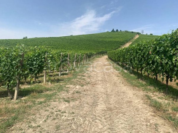 terreno agricolo in vendita a Nizza Monferrato in zona Bricco