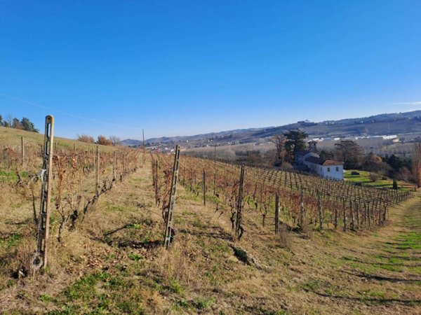 terreno agricolo in vendita a Nizza Monferrato
