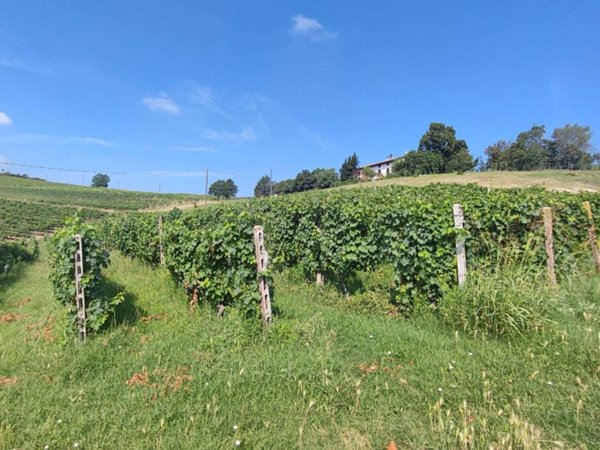 terreno agricolo in vendita a Nizza Monferrato