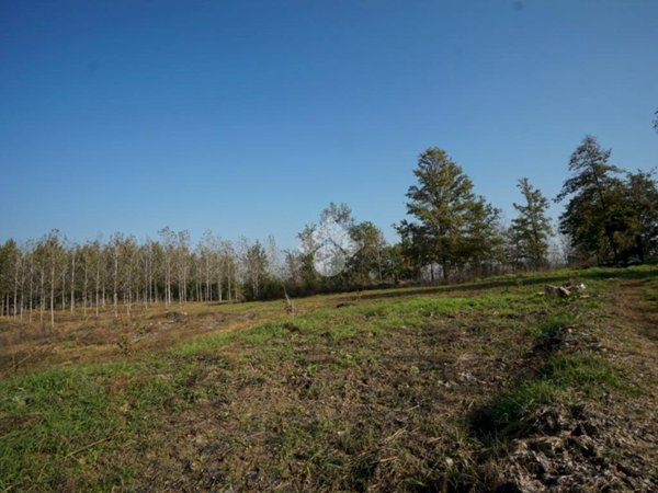 casa indipendente in vendita a Nizza Monferrato