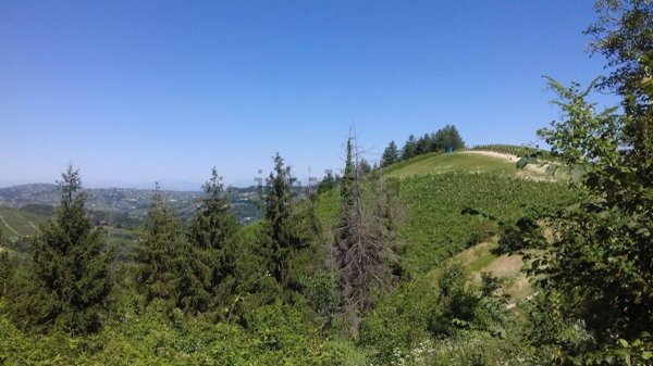 casale in vendita a Nizza Monferrato