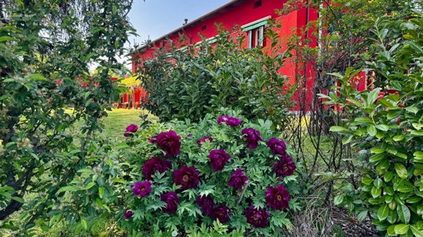 casa indipendente in vendita a Nizza Monferrato in zona Bricco