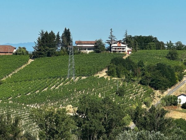 casa indipendente in vendita a Nizza Monferrato in zona Bricco