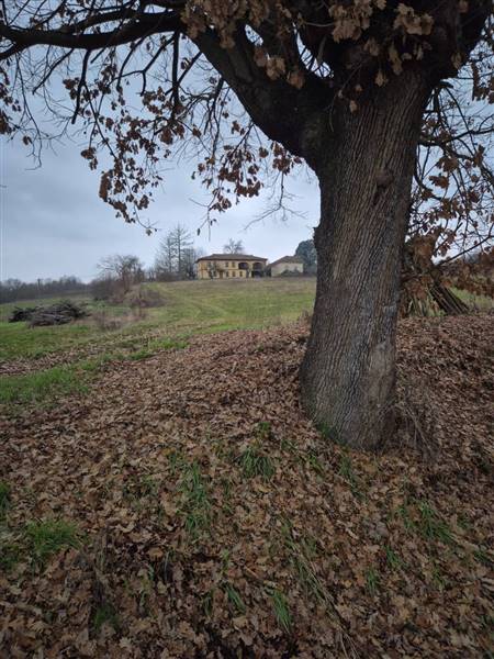 casa indipendente in vendita a Nizza Monferrato in zona San Michele