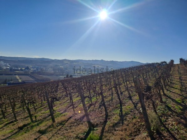 terreno in vendita a Nizza Monferrato in zona Bricco