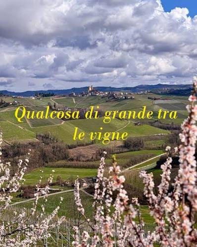appartamento in vendita a Nizza Monferrato in zona San Michele