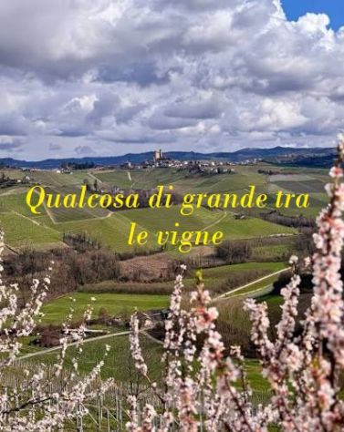 appartamento in vendita a Nizza Monferrato