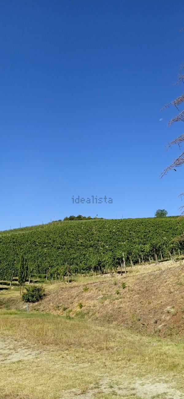 terreno in vendita a Nizza Monferrato in zona Bricco