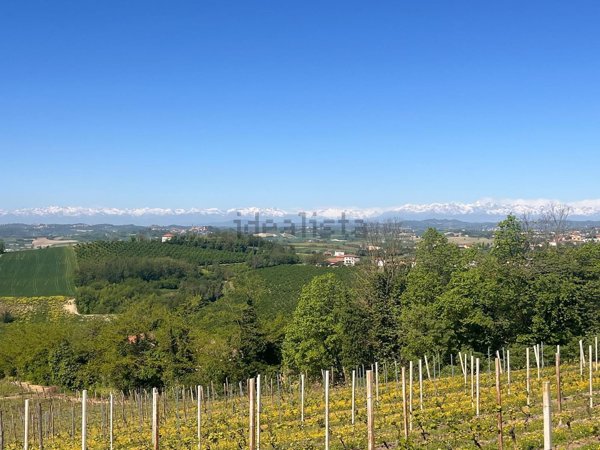 appartamento in vendita a Penango