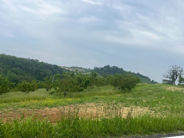 casale in vendita a Pino d'Asti
