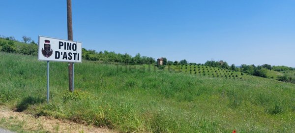 casa indipendente in vendita a Pino d'Asti