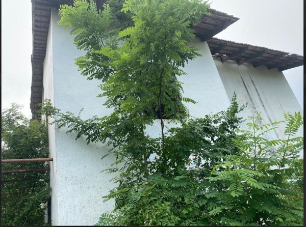 casa indipendente in vendita a Piovà Massaia