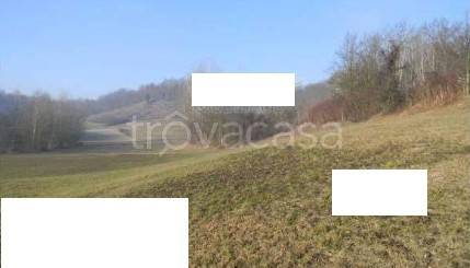 terreno agricolo in vendita a Portacomaro