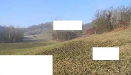 terreno agricolo in vendita a Portacomaro