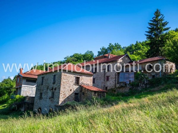 casa indipendente in vendita a Roccaverano