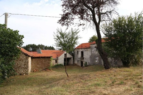 esavano in vendita a Roccaverano