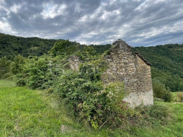 casa indipendente in vendita a Roccaverano
