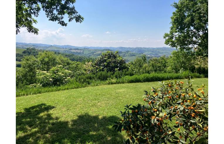 casa indipendente in vendita a Rocchetta Palafea