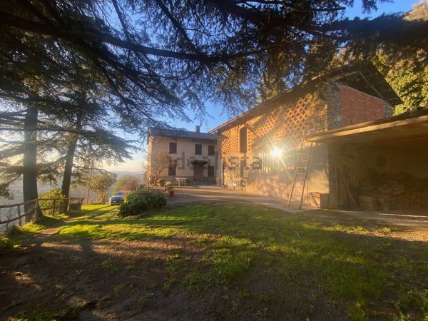 esavano in vendita a Rocchetta Palafea