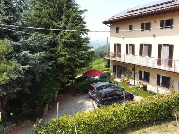casa indipendente in vendita a Rocchetta Palafea in zona Paniola