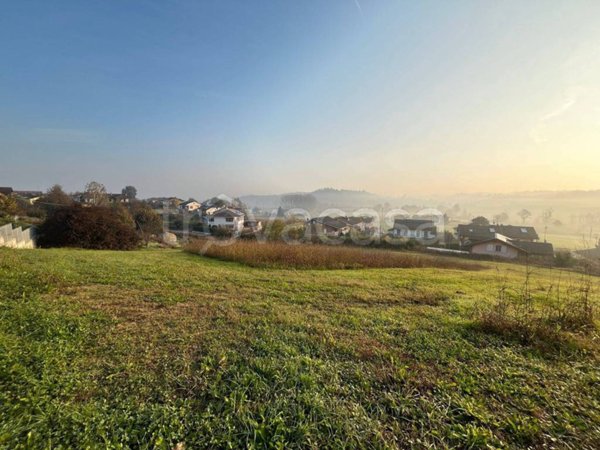terreno agricolo in vendita a San Damiano d'Asti