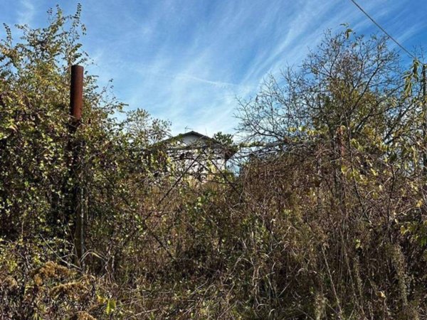 terreno edificabile in vendita a San Damiano d'Asti in zona San Pietro