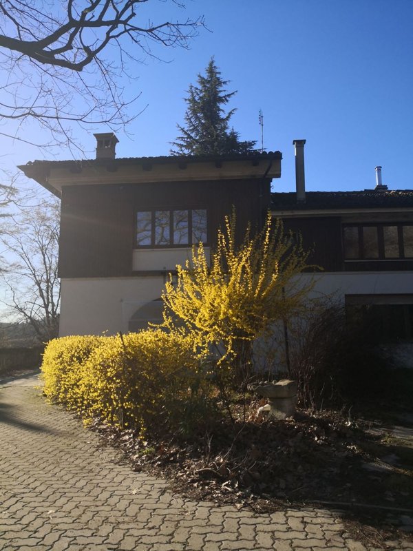 casa indipendente in vendita a San Damiano d'Asti