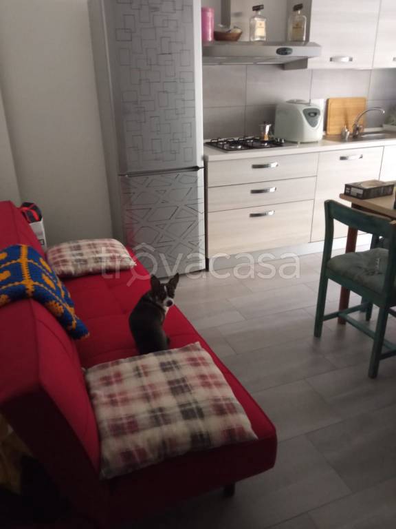 appartamento in vendita a San Martino Alfieri