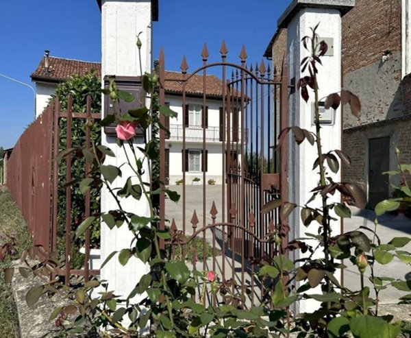 casa indipendente in vendita a San Martino Alfieri