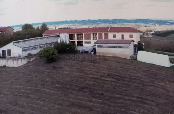 casa indipendente in vendita a San Martino Alfieri