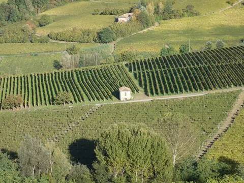 terreno agricolo in vendita a San Marzano Oliveto
