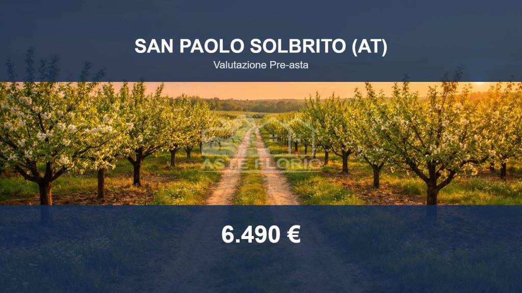 terreno agricolo in vendita a San Paolo Solbrito