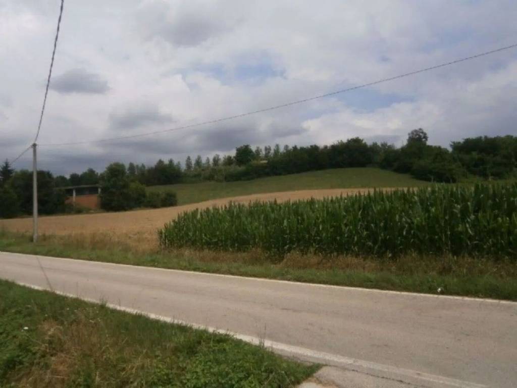 terreno agricolo in vendita a Tigliole