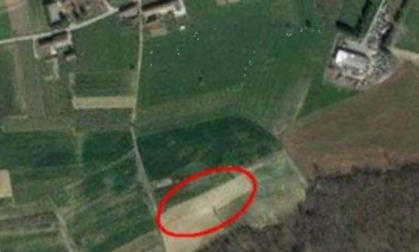 terreno agricolo in vendita a Tigliole in zona Pratomorone