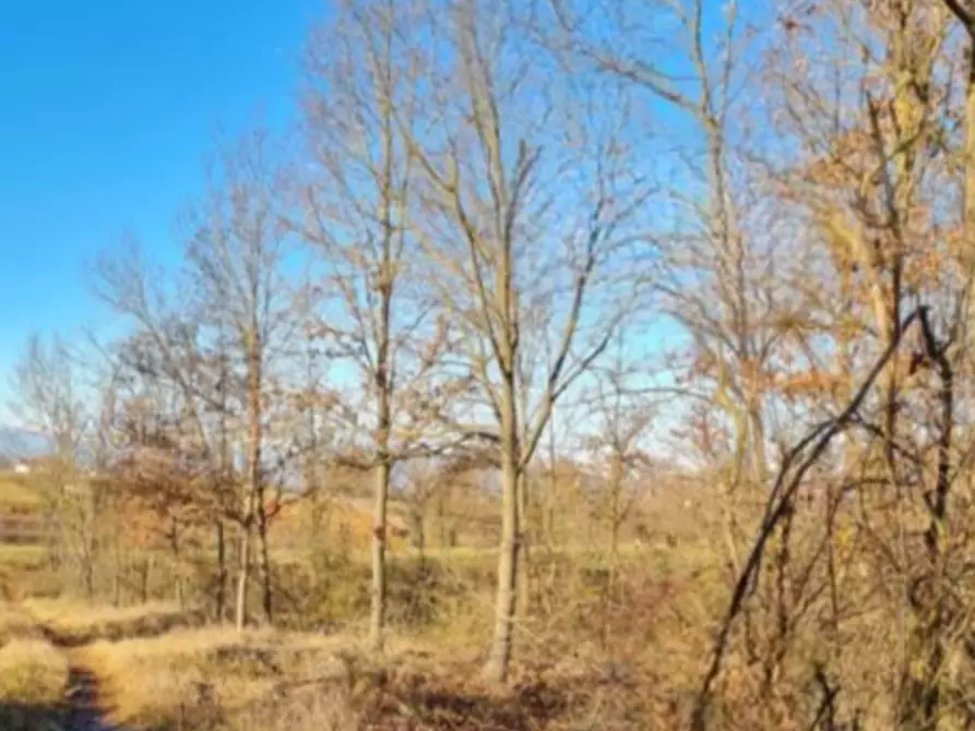 terreno agricolo in vendita a Valfenera in zona Villata