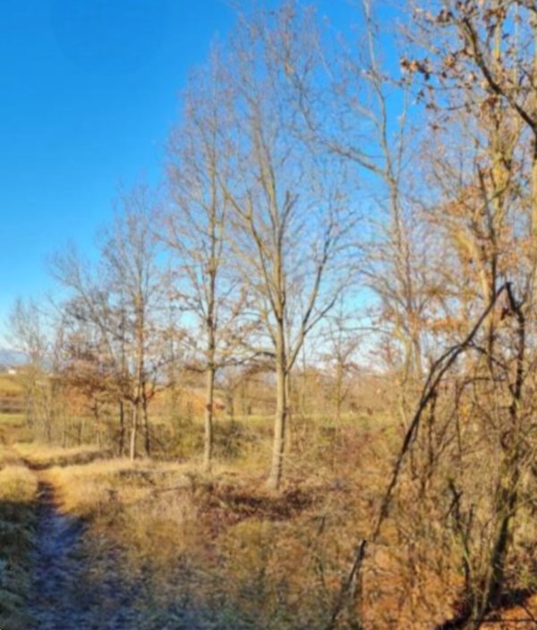 terreno edificabile in vendita a Valfenera in zona Villata