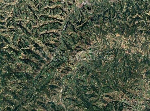 terreno agricolo in vendita a Vesime