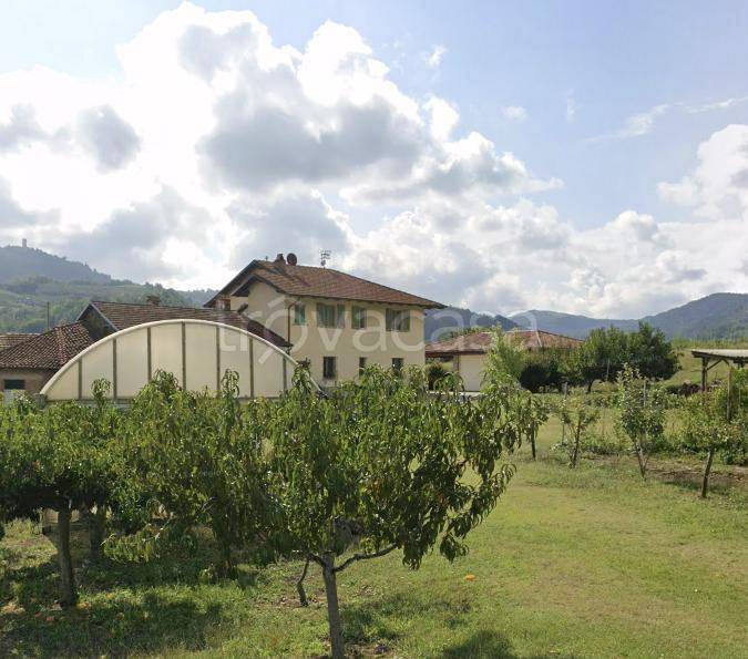 locale commerciale in vendita a Vesime