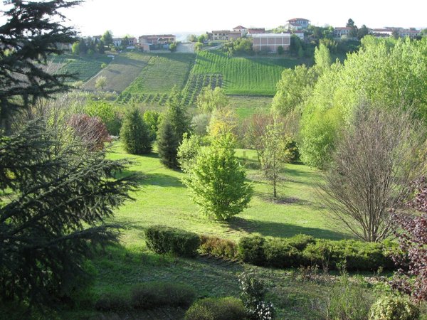casa indipendente in vendita a Vigliano d'Asti
