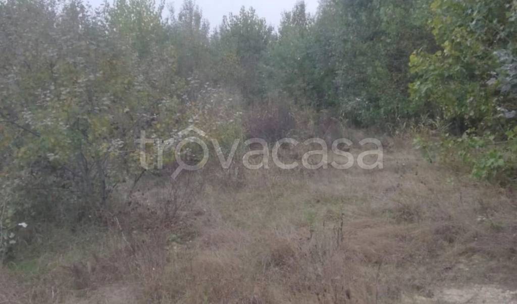 ufficio in vendita a Villafranca d'Asti