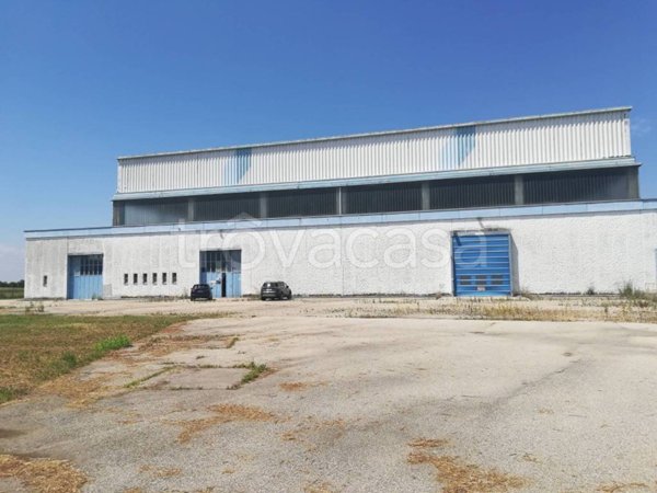 capannone in vendita a Villanova d'Asti