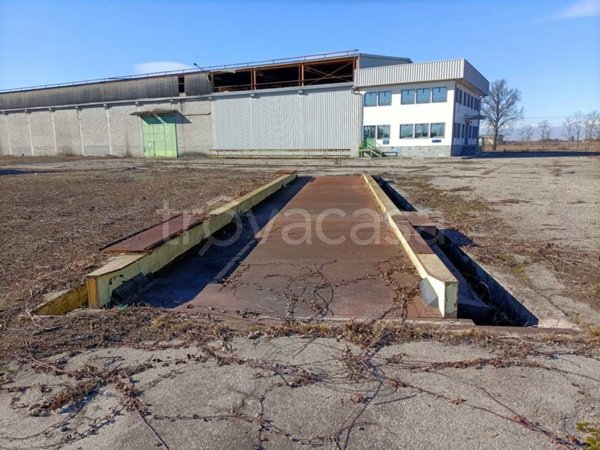 terreno agricolo in vendita a Villanova d'Asti