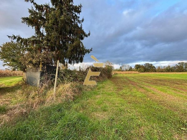 terreno agricolo in vendita a Villanova d'Asti