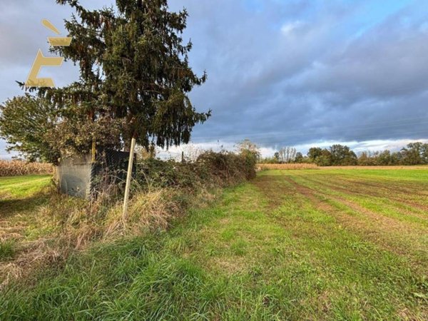 terreno agricolo in vendita a Villanova d'Asti