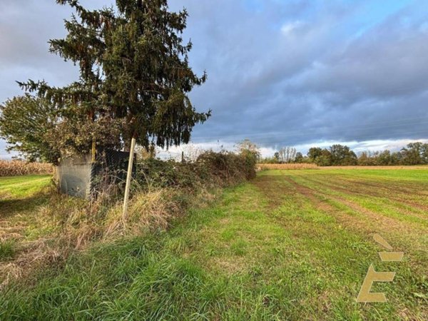 immagine annuncio 0 di 5