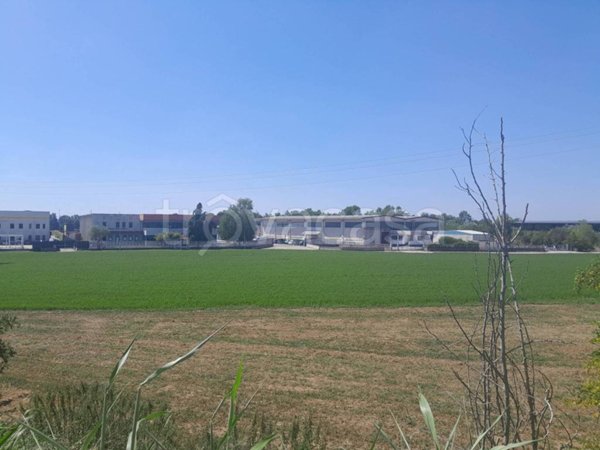 terreno agricolo in vendita a Villanova d'Asti