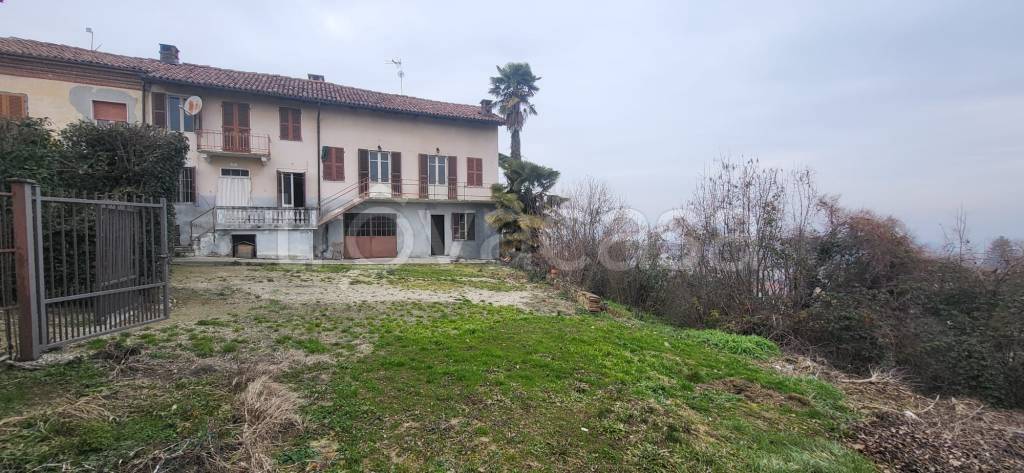 immagine annuncio 0 di 15